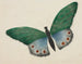 Papillon - Mary Altha Nims — visning af kunstværket