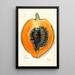 Carica papaya - Mary Daisy Arnold — indrammet kunstværk på væggen