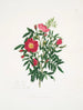 Blandet rosa - Mary Lawrance — visning af kunstværket