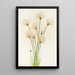 Linaigrette Eriophorum chamissonis - Mary Vaux Walcott — indrammet kunstværk på væggen