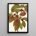 Fruit de cornouiller Cornus florida - Mary Vaux Walcott — indrammet kunstværk på væggen