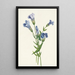 Gentiane frangée Gentiana crinita - Mary Vaux Walcott — indrammet kunstværk på væggen