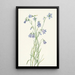 Campanula rotundifolia - Mary Vaux Walcott | Maleri — indrammet kunstværk på væggen
