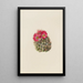 Cactus hérisson Coryphantha arizonica - Mary Vaux Walcott — indrammet kunstværk på væggen