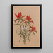 Castilléjie Castilleja rhexifolia - Mary Vaux Walcott — indrammet kunstværk på væggen