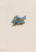 Myosotis des mousses Eritrichum elongatum - Mary Vaux Walcott — visning af kunstværket