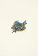 Myosotis des mousses Eritrichum elongatum - Mary Vaux Walcott — visning af kunstværket