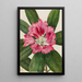 Rhododendron des montagnes Rhododendron catawbiense - Mary Vaux Walcott — indrammet kunstværk på væggen