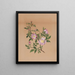 Rose mauve Hibiscus moscheutos - Mary Vaux Walcott — indrammet kunstværk på væggen
