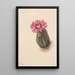 Cactus hoved af kalkun Echinocerus perbellus - Mary Vaux Walcott — indrammet kunstværk på væggen
