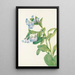 Mertensia virginica - Mary Vaux Walcott — indrammet kunstværk på væggen