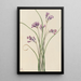 Jacinthe sauvage Brodiaea pulchella - Mary Vaux Walcott — indrammet kunstværk på væggen