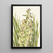 Yucca Yucca baileyi - Mary Vaux Walcott — indrammet kunstværk på væggen