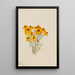Zinnia Zinnia grandiflora - Mary Vaux Walcott — indrammet kunstværk på væggen