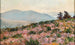 Vue de Peljeac avec bruyère en fleurs - Mato Celestin Medović — visning af kunstværket