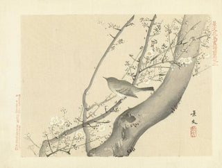 Matsumura Keibun - Plum and Japanese bushwarbler.webp