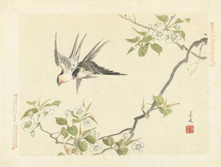 Matsumura Keibun - Sand pear and barn swallow.webp