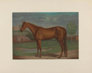 Maurice Scanlan - Maud S The queen of the trotting turf.webp
