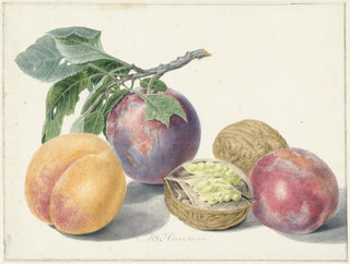 Michiel van Huysum - Stilleven met vruchten.webp