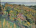 Studie af landskab - Mikhail Nesterov — visning af kunstværket