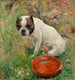 Min hund - Karl Georg Arsenius — visning af kunstværket