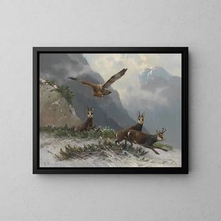 Moritz Mller - Gemsen im Hochgebirge.webp