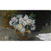Reproduktion af maleriet af det hvide rosen stilleben - Joaquín Sorolla