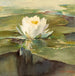 Nénuphar au soleil - John La Farge — visning af kunstværket