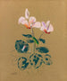 Cyclamen - Odilon Redon — visning af kunstværket