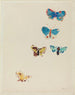 Cinq papillons - Odilon Redon — visning af kunstværket