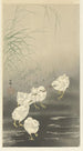 Poussins et ver - Ohara Koson — visning af kunstværket