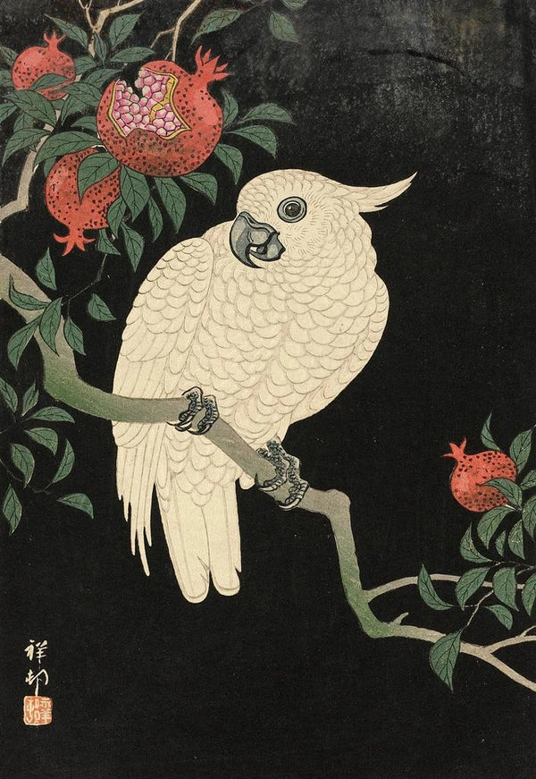 Cacatoès og granatæble - Ohara Koson — indrammet kunstværk på væggen
