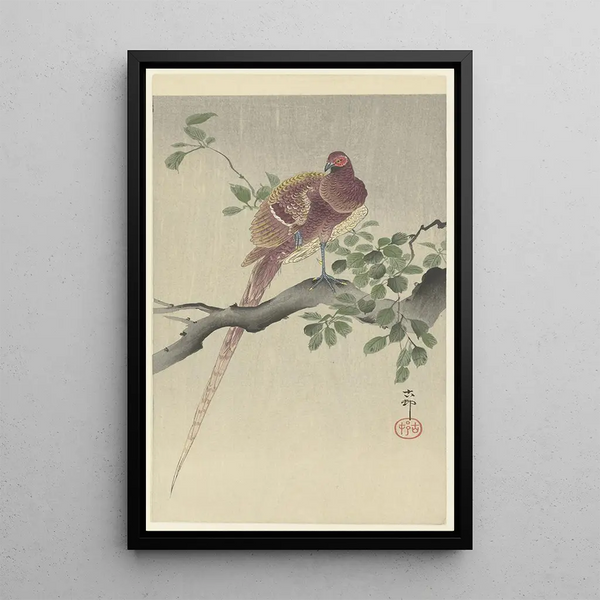 Faisan cuivré - Ohara Koson — indrammet kunstværk på væggen