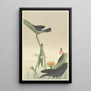 Ohara Koson - Dragonfly and lotus.webp