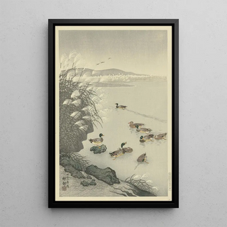Ohara Koson - Ducks in the water.webp