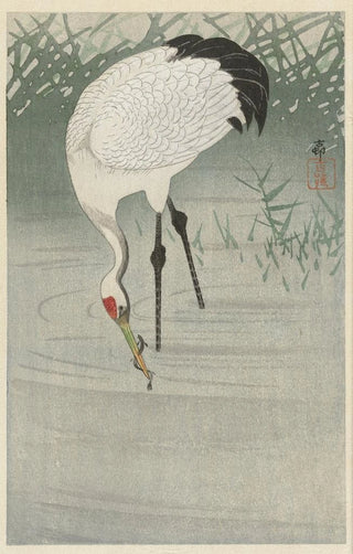 Ohara Koson - Fishing crane in shallow water.webp
