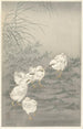 Cinq poussins - Ohara Koson — visning af kunstværket