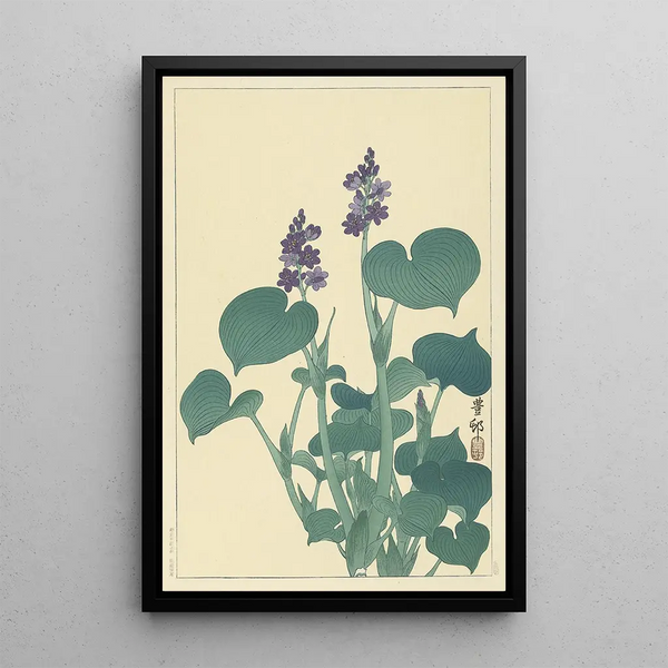 Hosta en fleur - Ohara Koson — indrammet kunstværk på væggen