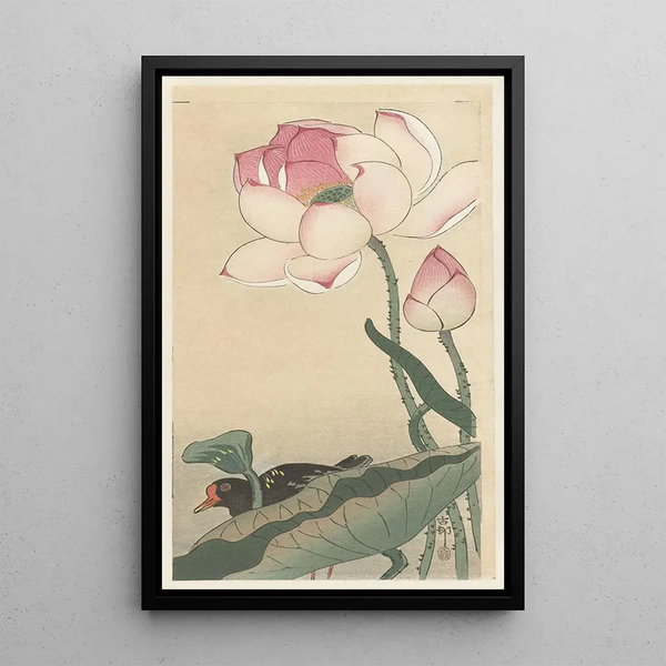 Gallinule med lotusblomster - Ohara Koson — indrammet kunstværk på væggen