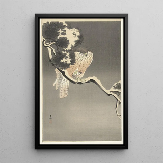 Ohara Koson - Hawk with sparrow.webp