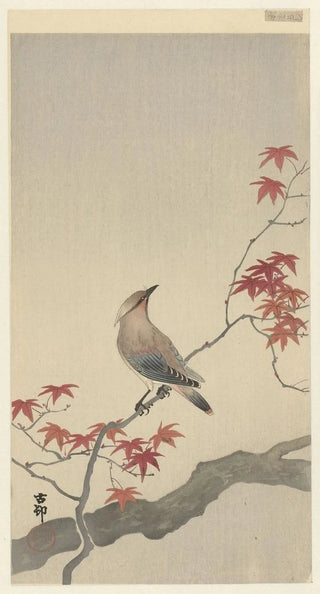 Ohara Koson - Japanese waxwing on maple.webp