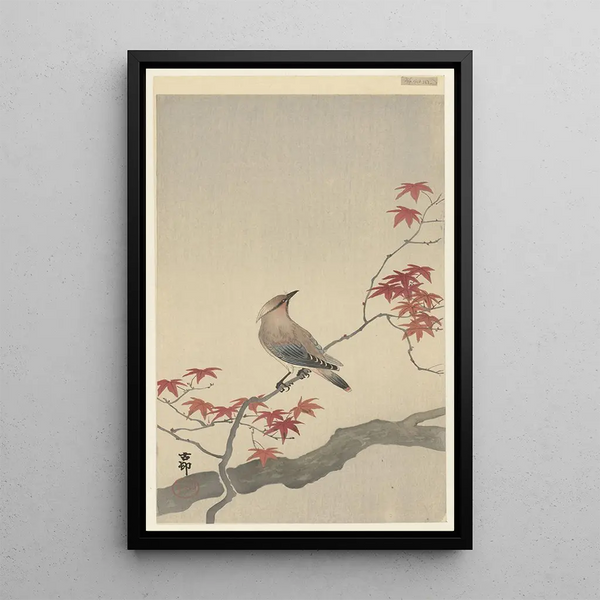 Jaseur du Japon sur érable - Ohara Koson — indrammet kunstværk på væggen