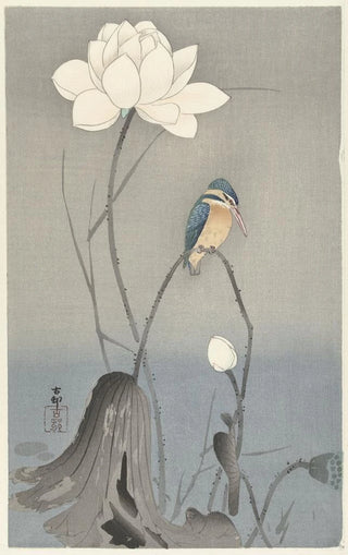 Ohara Koson - Kingfisher with Lotus Flower.webp