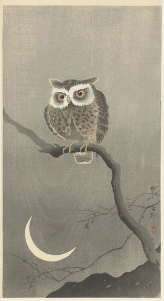 Ohara Koson - Longeared owl on bare tree branch.webp