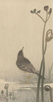 Siffleur d'eau - Ohara Koson — visning af kunstværket