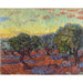 Reproduktion af maleriet Oliveraie-maleri, Saint-Rémy - Vincent van Gogh
