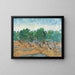 Reproduktion af maleriet Oliveraie-maleri - Vincent Van Gogh