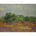Reproduktion af maleriet Oliviers - Vincent van Gogh