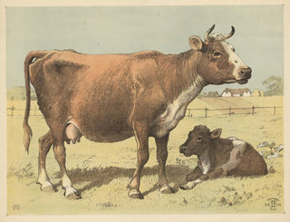 Vache - Oluf August Hermansen — visning af kunstværket