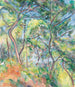 Undertræ - Paul Cézanne — visning af kunstværket